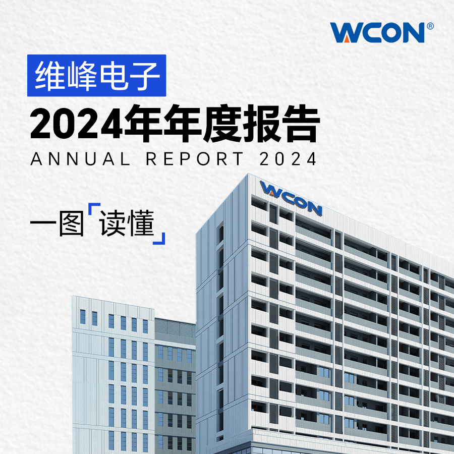 Annual Report 2024