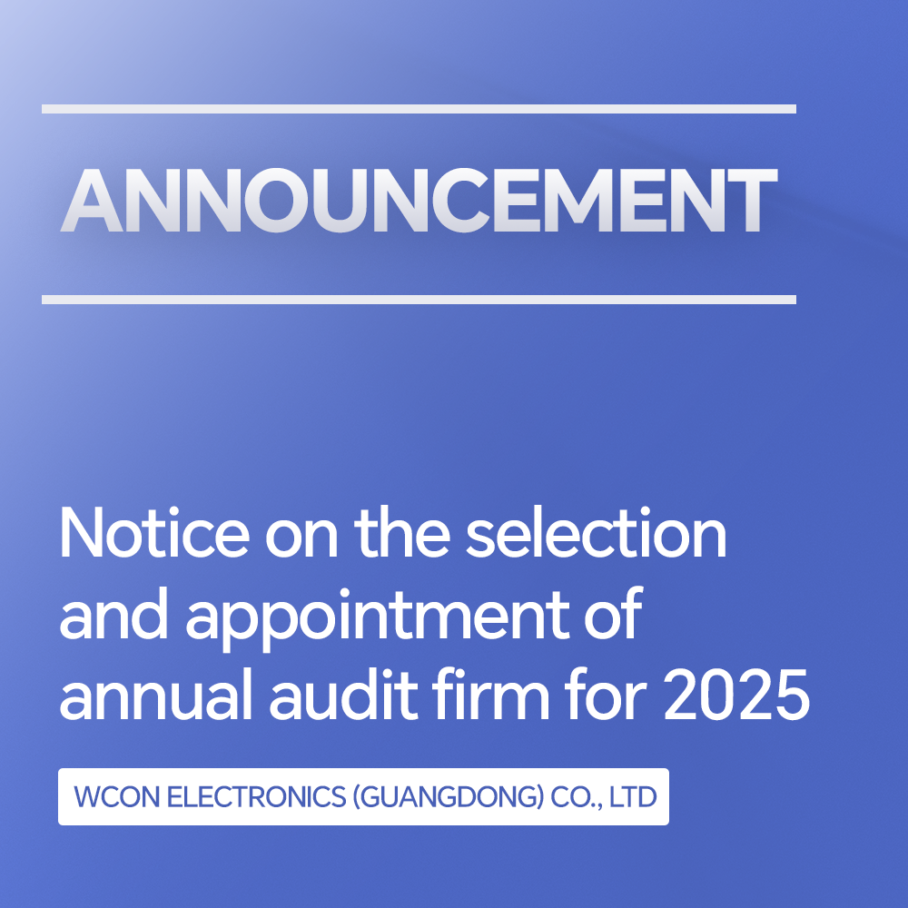 Notice on the Selection and Appointment of the Audit Firm for 2025